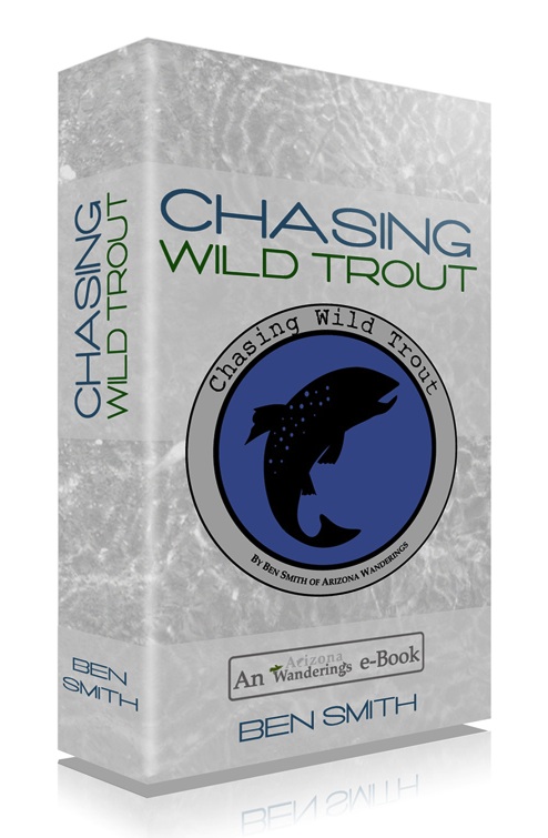 Fly Fishing Small Streams E-book