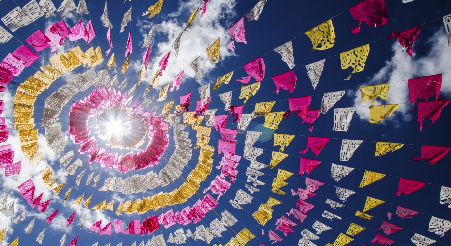 Mexican bunting