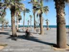 strand-barceloneta-02_jpg.jpg (66kb)