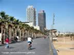 strand-barceloneta-16_jpg.jpg (48kb)