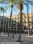 placa-reial-04_jpg.jpg (48kb)