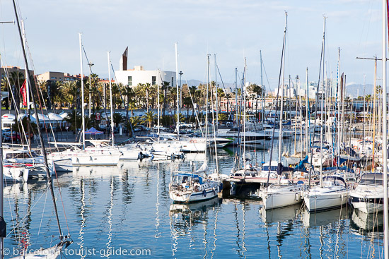 Marina Area