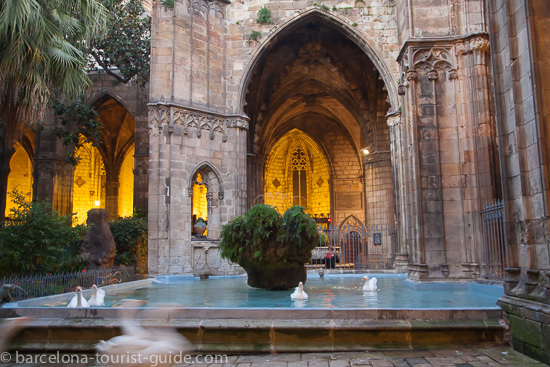 Cisnes no claustro da Catedral de Barcelona