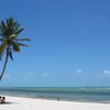 USA, Florida Keys, Key West, Smathers beach, under a palm tree