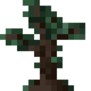 Darkwood Sapling.png