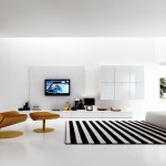 Black and White Striped Carpet