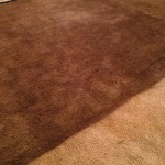 Beige Carpet Dye