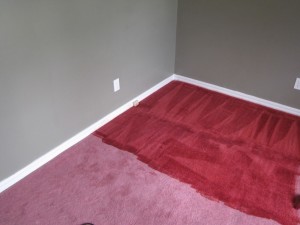 Tan Carpet Dye