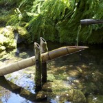 Rocking Bamboo Fountain