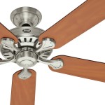 Energy Star Ceiling Fan with Light