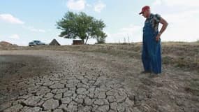 La sécheresse dans le Midwest américain fait flamber les prix des céréales.