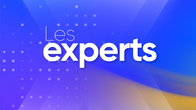 Les Experts