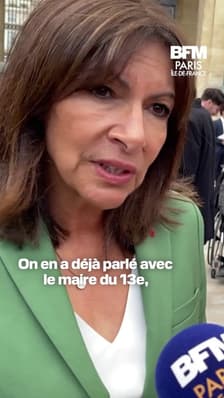 Jardin Abbé-Pierre: Anne Hidalgo annonce que la ville va "débaptiser" le parc