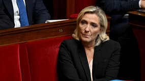 Marine Le Pen à l'Assemblée nationale.