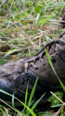 Des pieds humains découverts en bord de Seine dans les Yvelines