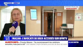 Procès des viols de Mazan: pour l'avocate de deux accusés, Dominique Pelicot "est dans le mensonge constamment" 