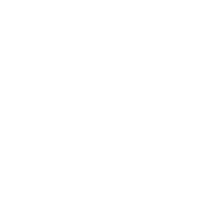 bfmlyon