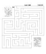 Bible Mazes 