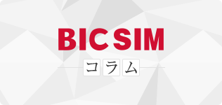 BIC SIM コラム