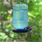 Bird Feeder from Water Bottle