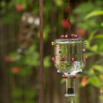 Bird Water Feeder DIY