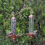 Bird Water Feeders Outdoor