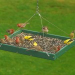 Hanging Bird Feeder Trays