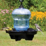 Hanging Bird Water Feeder