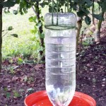 Homemade Bird Water Feeder