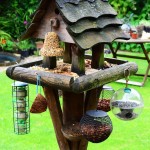 Multiple Bird Feeder Station