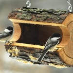 Unique Bird Feeder Designs