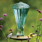 Water Feeder for Birds