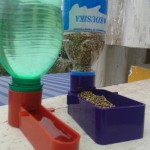 Water Feeders for Birds