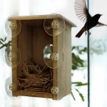 Window Box Bird House