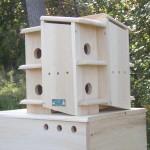 Wooden Martin Bird Houses