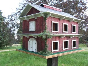 Build Purple Martin Bird House