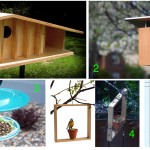 Buildin Bird Feeders and Houses