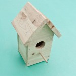 Building Bird House Plans