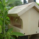 Chickadee Bird House Design