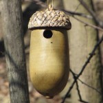 Chickadee Bird House Designs