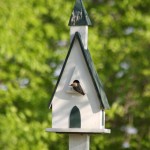 Chickadee Bird House Dimensions