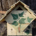 Chickadee Bird House Location