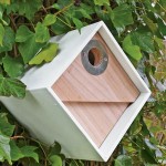 Chickadee Bird House Placement