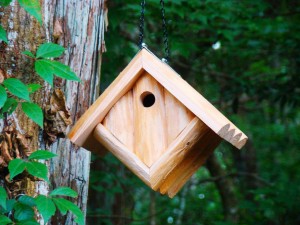 Chickadee Bird House Requirements