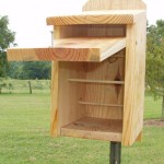 Chickadee Bird Houses Plans