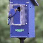 Painted Blue Bird Houses