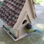 Plans to Build a Bird House