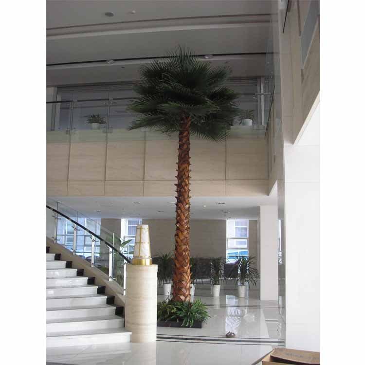 Preserved Washignton Palm