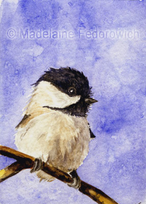 Winter Chickadee ACEO