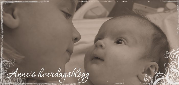 Anne's hverdagsblogg